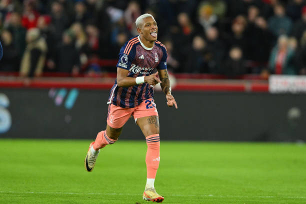 著獨到的見 著獨到的見